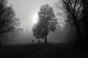 2nd PrizeOpen Mono In Class 2 By Scott Cote For Morning Fog JAN-2023