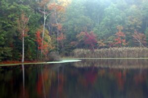 2nd-PrizeOpen-Color-In-Class-2-By-Scott-Cote-For-Autumn-Reflections-SEP-2023