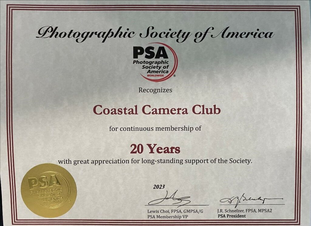 20 year certificate