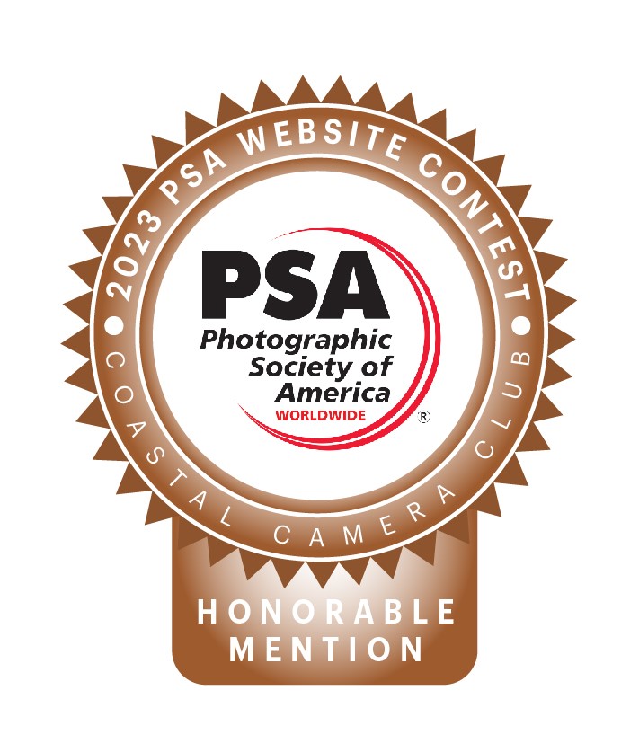 PSA Honorable Mention for Website Design