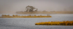 3rd PrizeMulti-Scape In Class 3 By Jim Cotter For Prime Hook Morning Fog MAR-2024